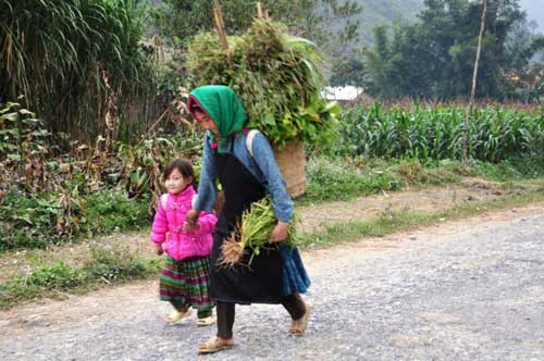 ha giang